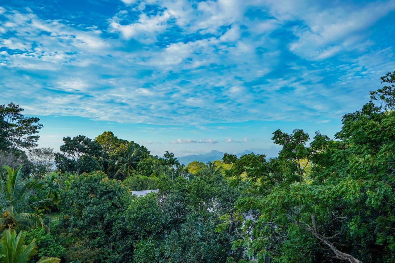 The Grand Hanthana Kandy Extérieur photo